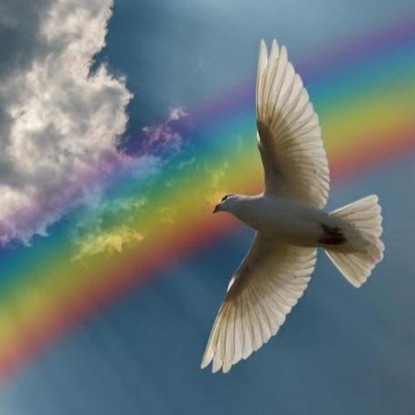 Небо с голубями фон