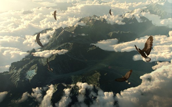 Птицы улетают