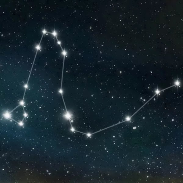 Стрелец Созвездие Sagittarius