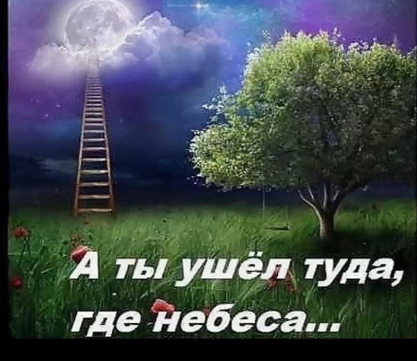 Уходит в небо