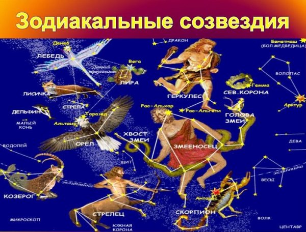 Схематическое изображение созвездий для детей и их названия