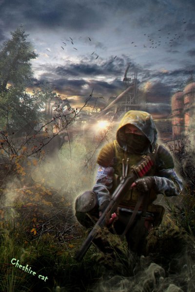 Сталкер группировка чистое небо