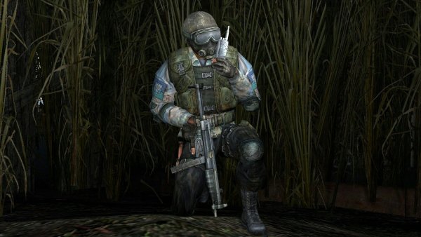 Сталкер группировка чистое небо арты