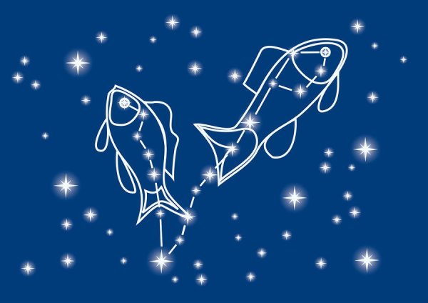 Зодиакальное Созвездие Козерог