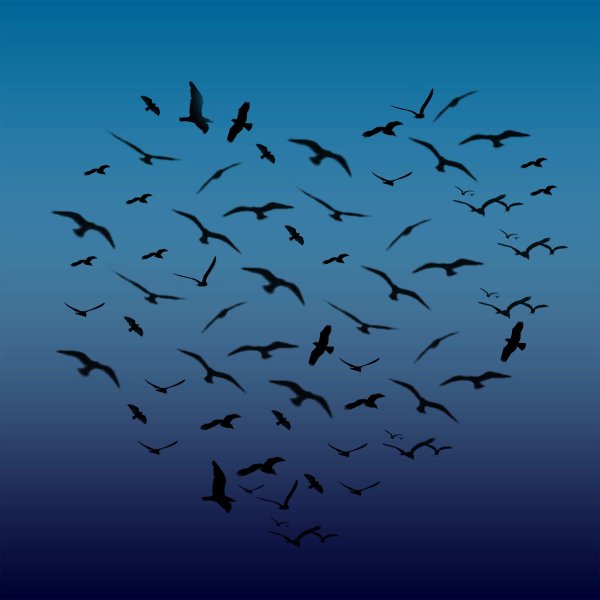 Стайка птиц