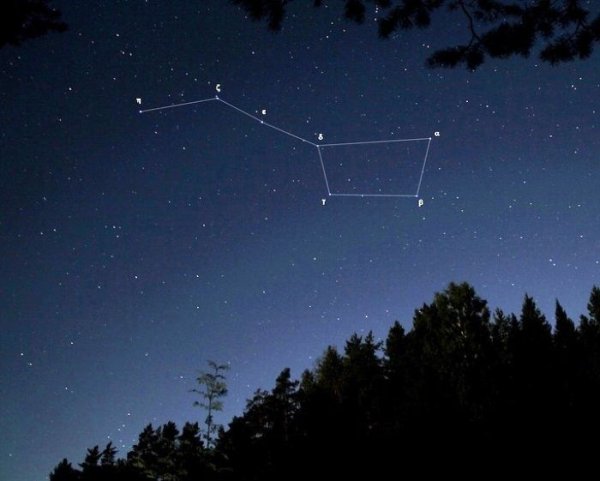 Созвездие малая Медведица Медведица