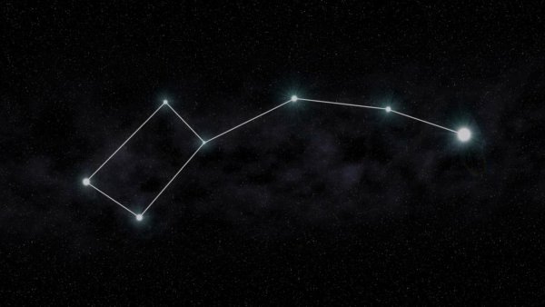 Большая Медведица Созвездие