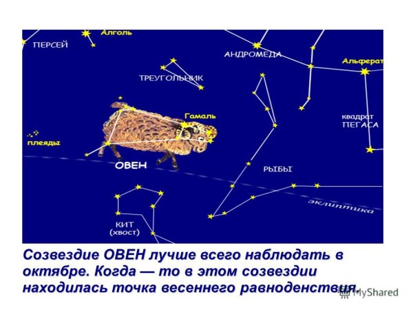 Созвездие овна Aries