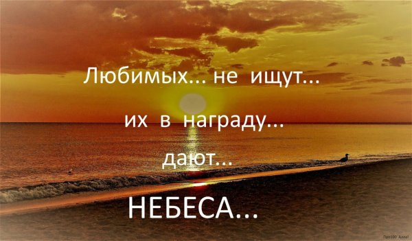 Любимых не ищут их в награду дают небеса