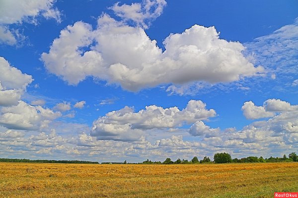 Пейзаж с облаками