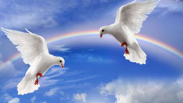 Мирного неба над головой