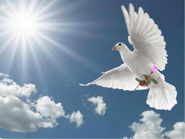 Благовещение птицы