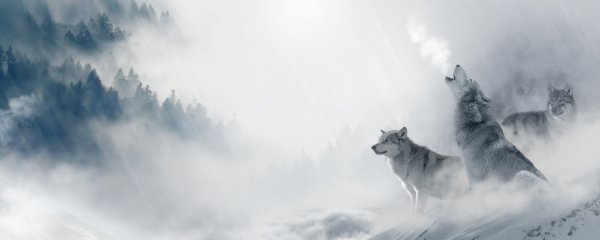 Волк и Луна