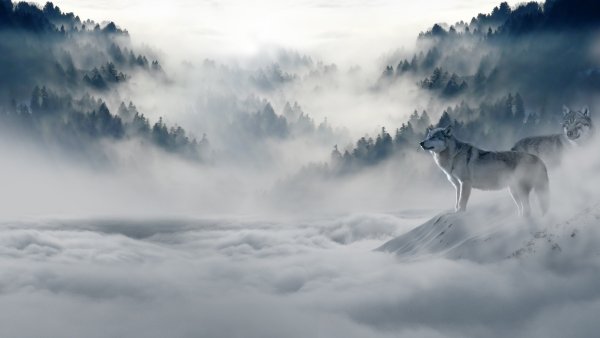 Красивая природа небо