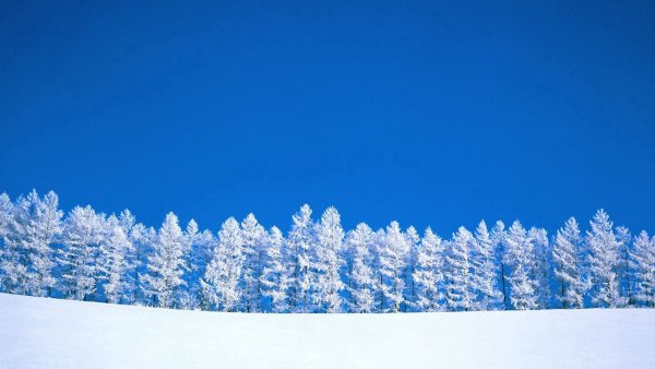 Снежное поле