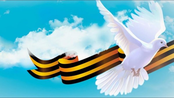 Мирное небо голуби