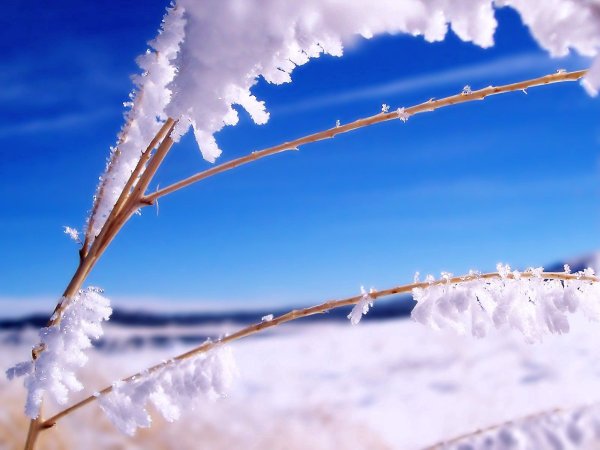 Снежное небо