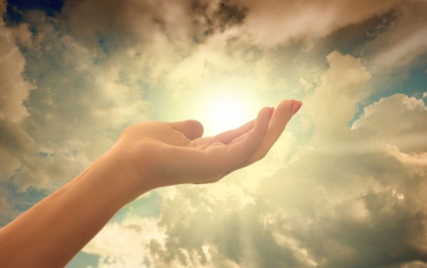 Красивая ладонь