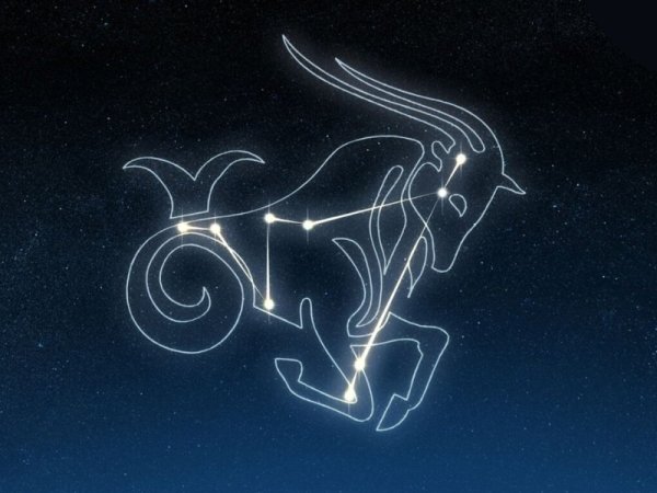 Capricorn Созвездие