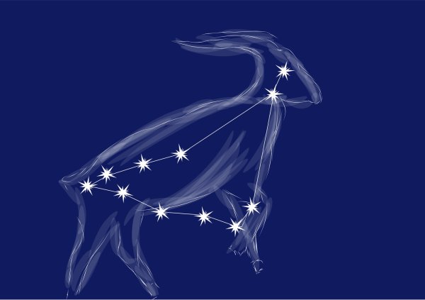 Знаки зодиака Созвездие Capricorn