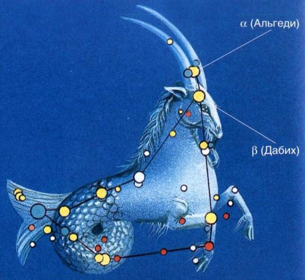 Созвездие козерога Альгеди