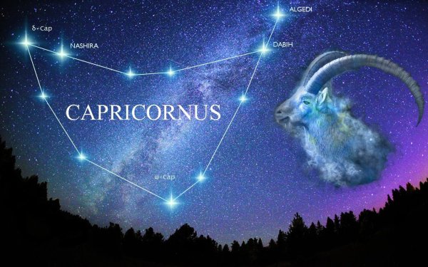 Знаки зодиака Созвездие Capricorn