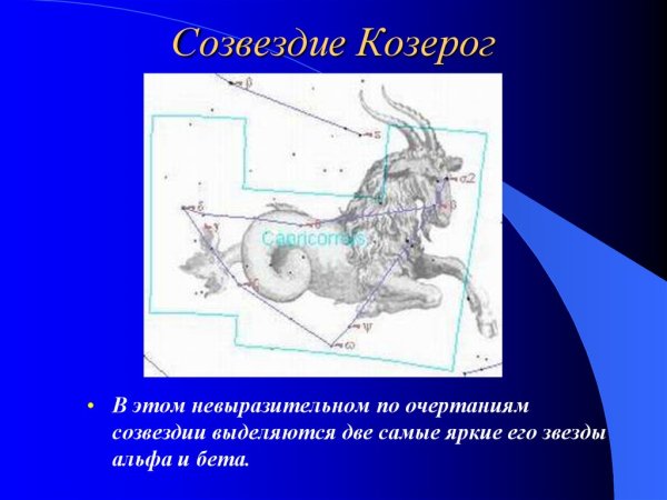 Коза Амалфея Созвездие