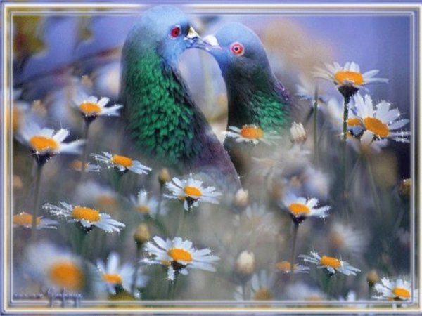 Доброе осеннее утро с птичками