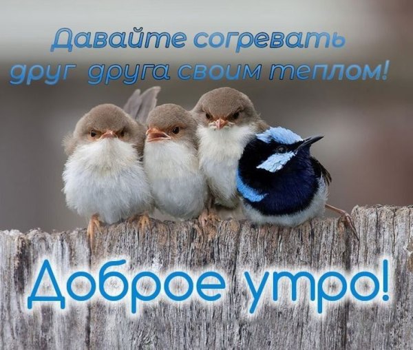 Свобода души