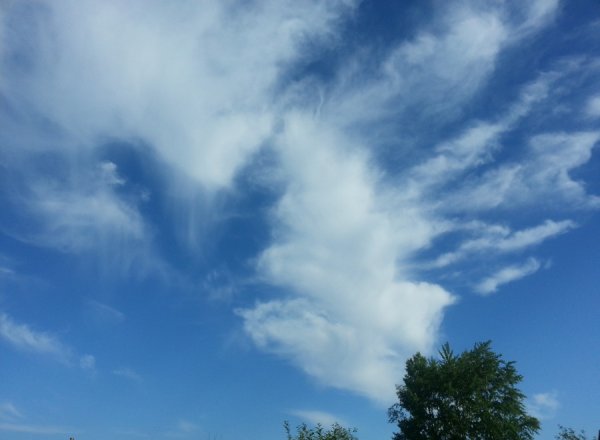 Ясного неба над головой