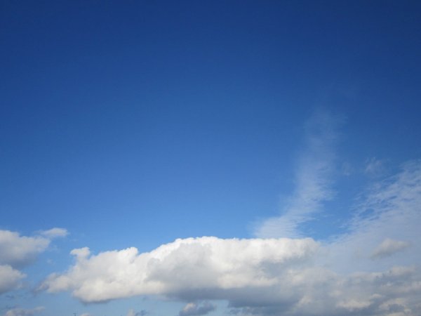 Светлого неба над головой