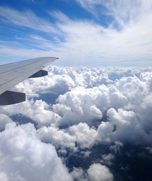 Аэробус а320 вид из иллюминатора