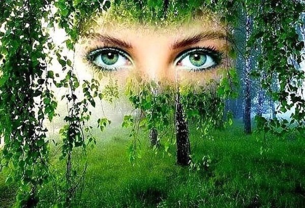 Взгляд зеленых глаз