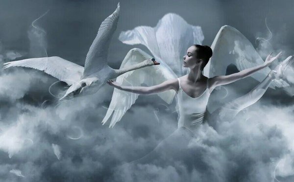 Белый лебедь летал лебедушку выкликал