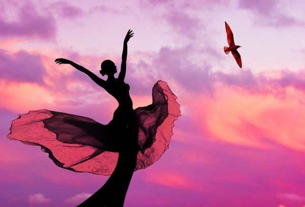 Свободный полет птицы