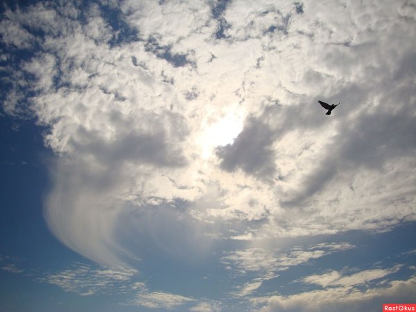 Светлая любовь