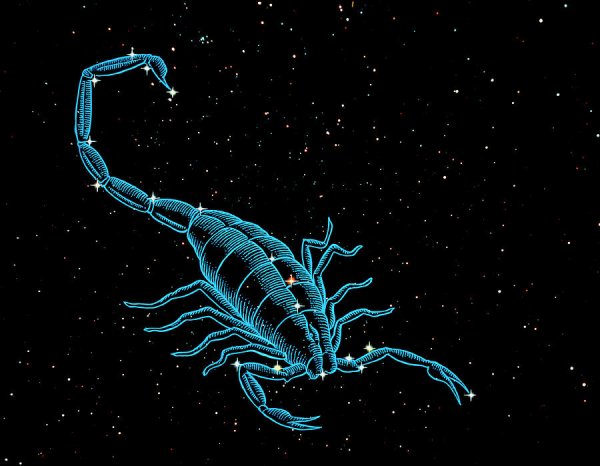 Звездный Скорпион