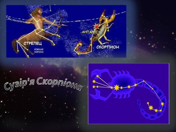 Созвездие стрельца и скорпиона