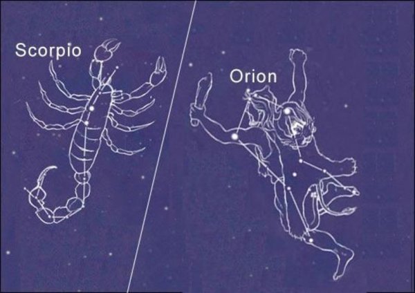 Зодиакальное Созвездие Скорпион