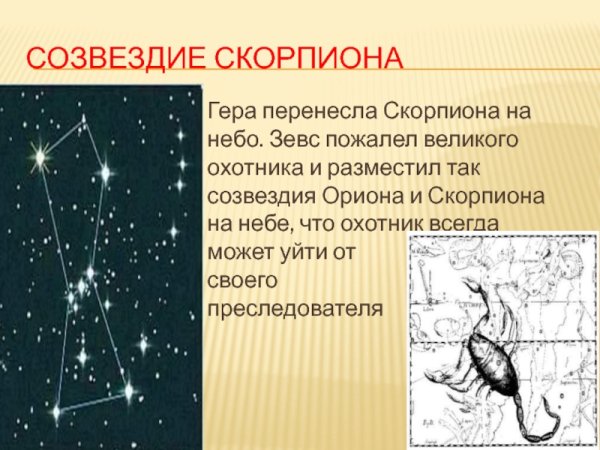 Телец знак зодиака Созвездие