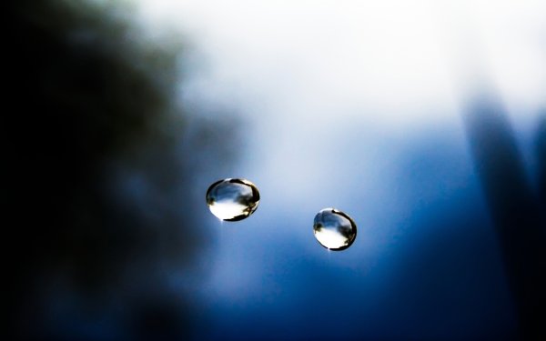 Две капли воды
