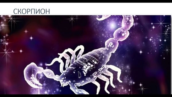 Зодиакальное Созвездие Скорпион