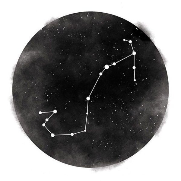 Scorpio Созвездие