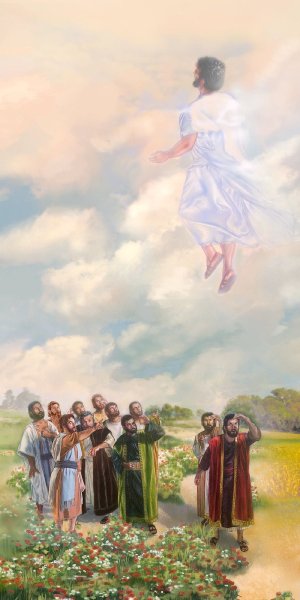 Божий свет с небес