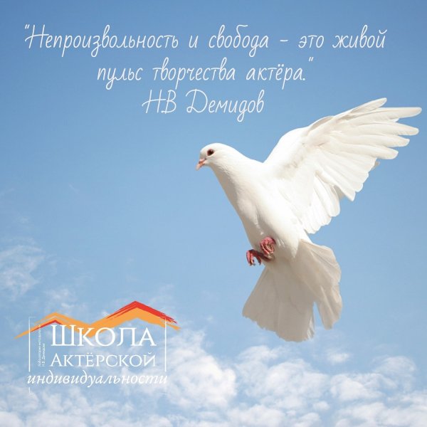 Белый голубь взлетает в небо