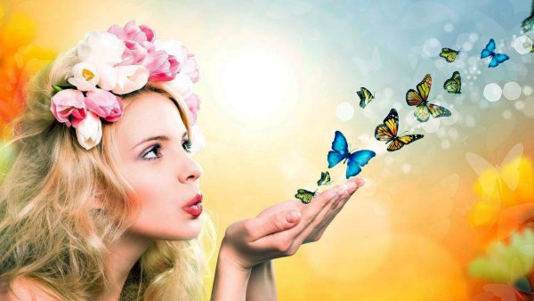 Бабочки полетели