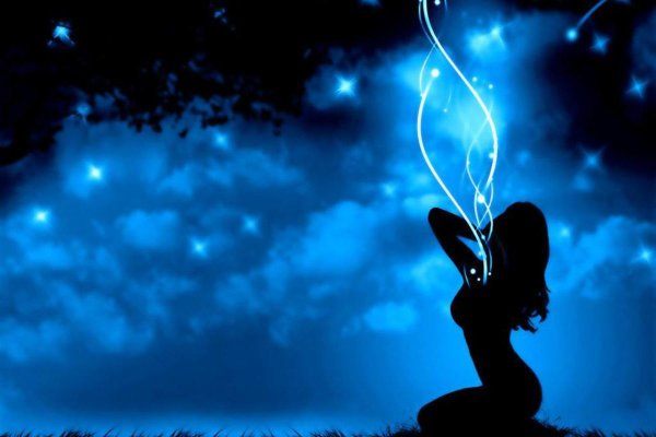 Силуэт бабочки