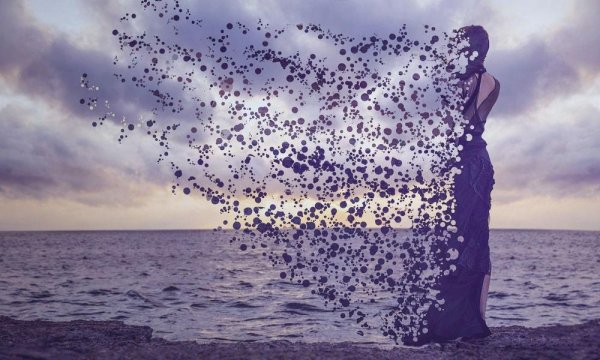 Голова бабочки