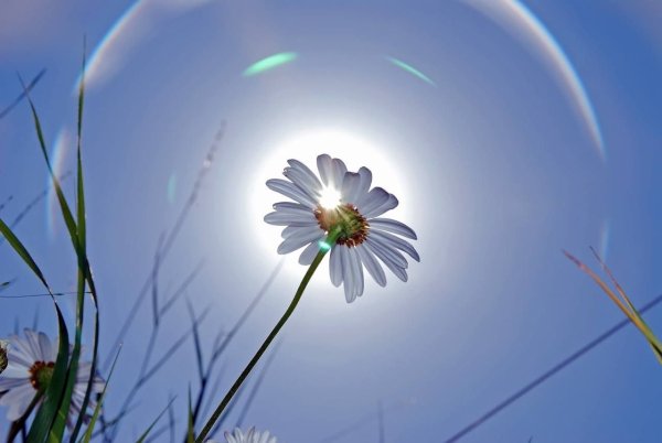 Пожелания с добрым утром с природой