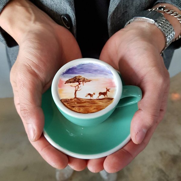 Мэтт Моллой